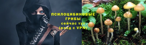 мяу мяу мука Куйбышев