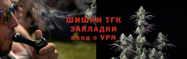 дмт Кулебаки