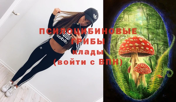 мяу мяу мука Куйбышев